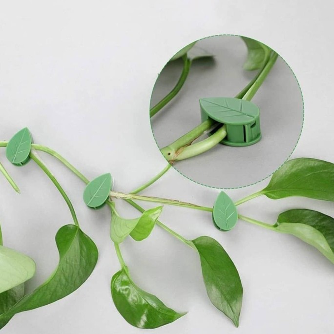 گیره باغچه پیوست بسته 10عددی