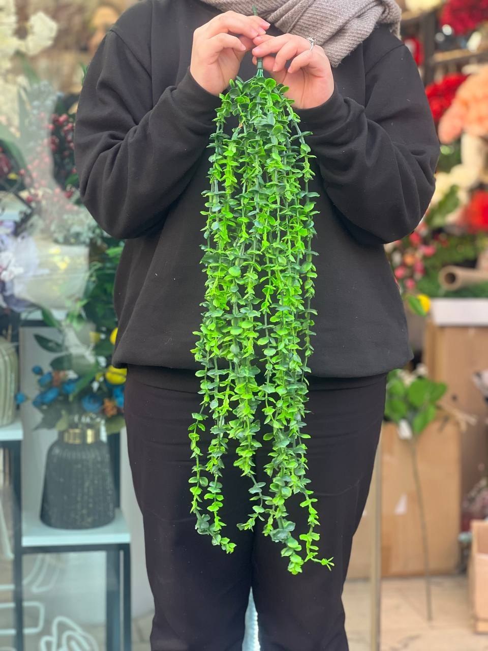آویزشمشاد ۱۶ شاخه ۱۰۰گرم بسته ۱۰عددی